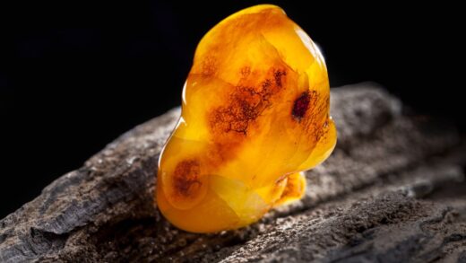 Muzeum Bursztynu w Gdańsku: Plan Zwiedzania i Najciekawsze Eksponaty