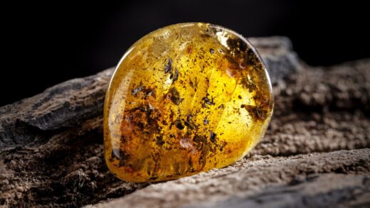 Muzea Bursztynu w Polsce i Europie: Miejsca Warte Odwiedzenia